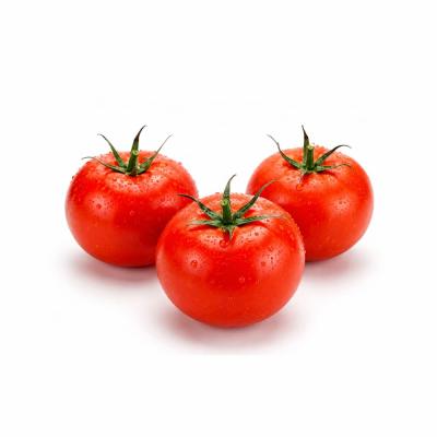 Fresh Tomatoes